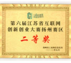 i创杯第六届扬州赛区二等奖